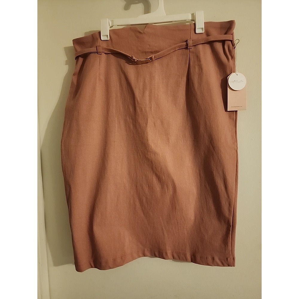 NWT Blashe Skirt Pink/Rose 1XL